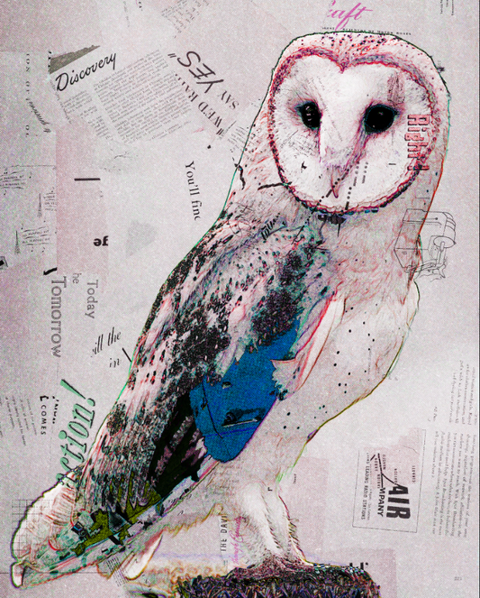 Owl (bleached)